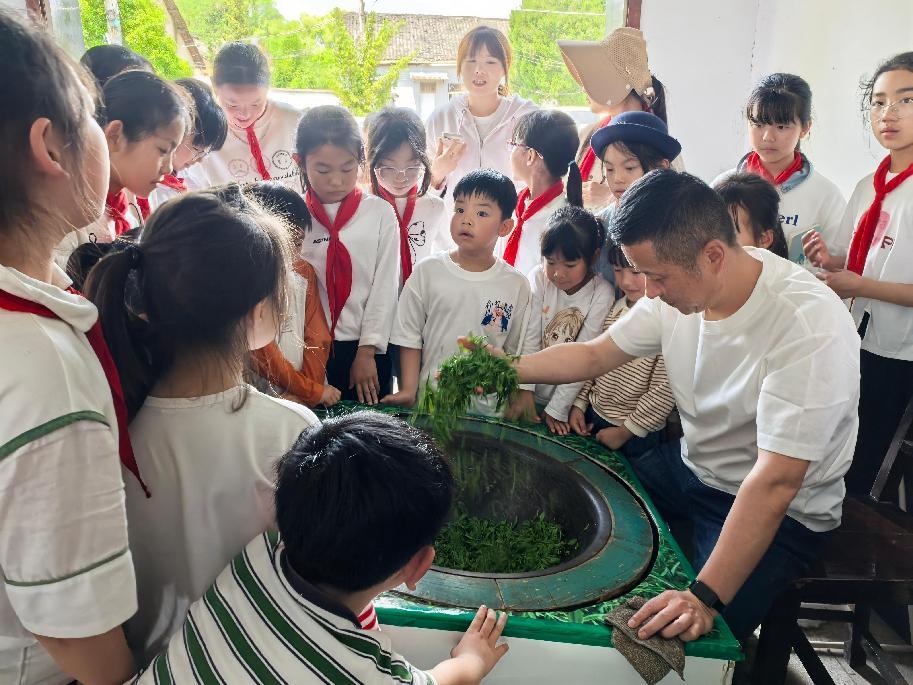 區(qū)關(guān)工委組織學(xué)生到實(shí)驗(yàn)茶場開展茶文化主題實(shí)踐活動(dòng)